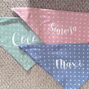Dog scarves